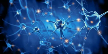 A rendering of nerve cells
