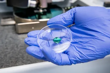A blue-gloved hand holding a petri dish in the lab of Igor Sokolov