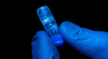 Gloved fingers hold a small oblong capsule in a blue-lit image