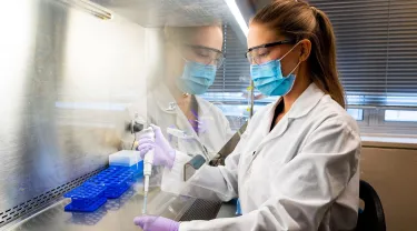 Doctoral students conduct research in the Cellular Agriculture lab