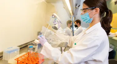 A doctoral students conduct research in the Cellular Agriculture lab
