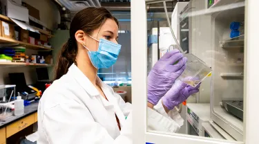 Sophie Letcher in the Cellular Agriculture lab