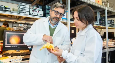 Fiorenzo Omenetto, Professor of Biomedical Engineering, and some of his lab students at the Silk Lab