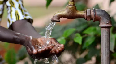 Water pours over a person's outstretched hands