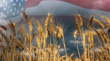 Double exposure with the american flag and beautiful natural wheat.
