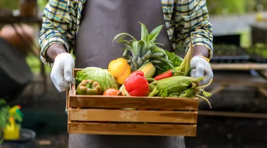 Farmer holding wooden box full of fresh vegetables