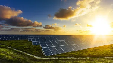 Solar panels at sunrise