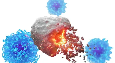 A gray colored sphere breaking apart, with three blue spheres surrounding it. A new cancer method induces immune responses that suppressed multiple tumors in pre-clinical models 