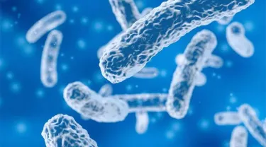 A stock photo of bacteria against a blue background