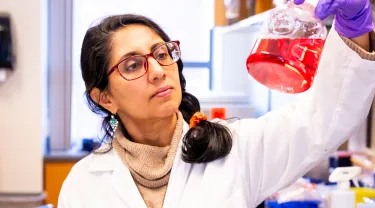 Shruti Sharma, Assistant Professor of Immunology, looks at a vial of a cell culture sample in the lab