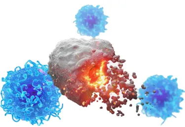 A gray colored sphere breaking apart, with three blue spheres surrounding it. A new cancer method induces immune responses that suppressed multiple tumors in pre-clinical models 