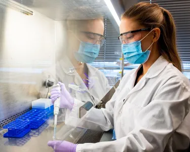 Doctoral students conduct research in the Cellular Agriculture lab