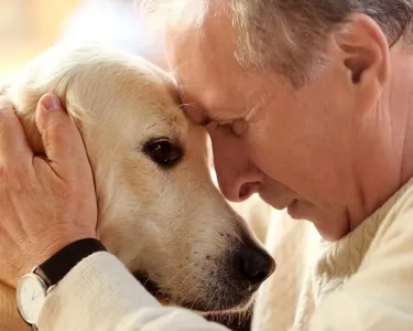 An older man in a tan sweater hugs his senior dog