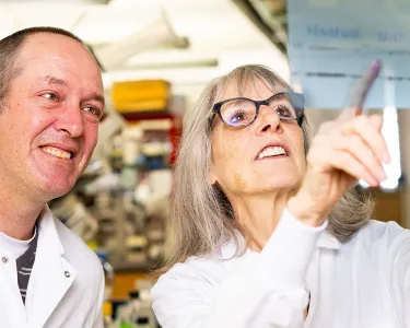 Michele H. Jacob, professor of neuroscience, and Jonathan Alexander, research assistant professor in neuroscience, at work in the Jacobs Lab at the Graduate School of Biomedical Sciences