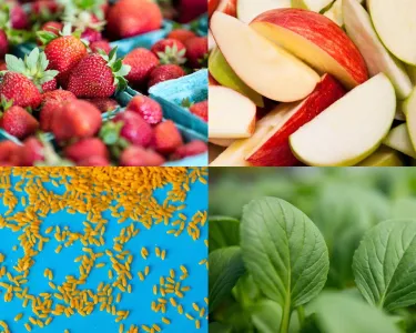 montage of photos of strawberries, apples, basil, and whole grains