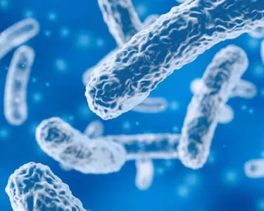 A stock photo of bacteria against a blue background