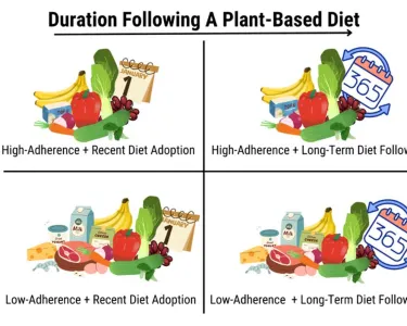 A 2x2 grid graphic titled “Duration Following a Plant-Based Diet” on the top, with the vertical axis labeled “Adherence to a Plant-Based Diet.