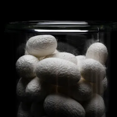 Silk cocoons made at the Silk Lab