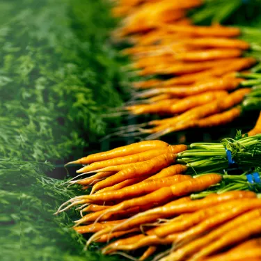 Food and nutrition